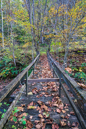 Fall_E_KY-2922