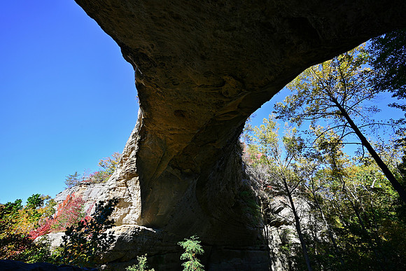 _JRP7934_Radiant