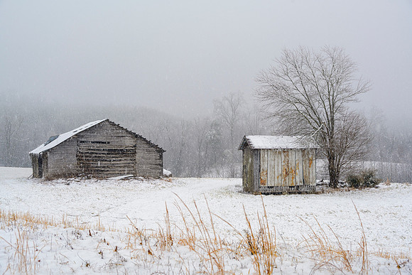 KY_Snow-6074