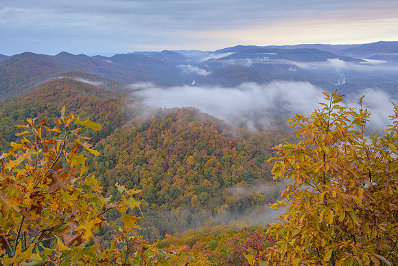 KY-Fall_E_KY7942