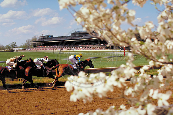 Keeneland_Spring024
