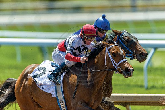 Keeneland7901