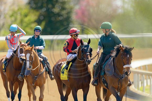 Keeneland_Spring7966