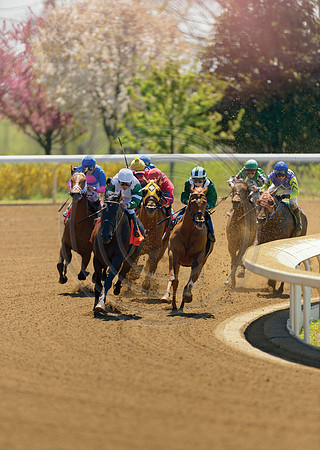 Keeneland_Spring7912