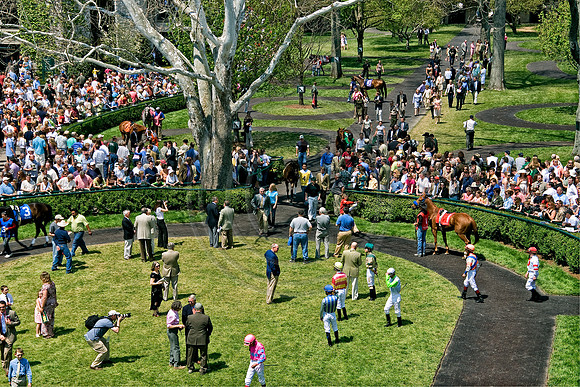 Keeneland_Paddock0198