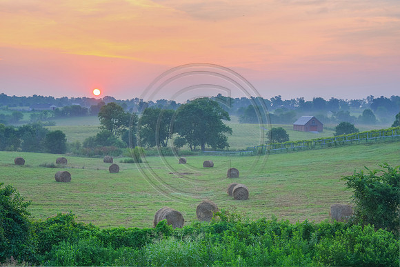 Sunrise_Hay7152