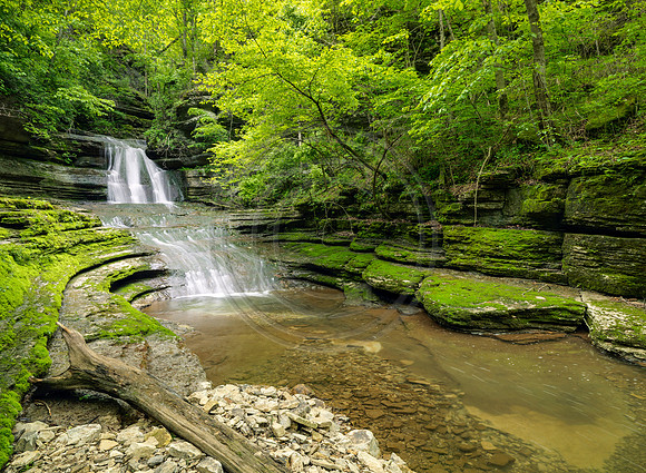 BurgessFalls1218819