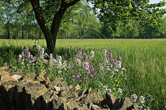 StoneFence-4670