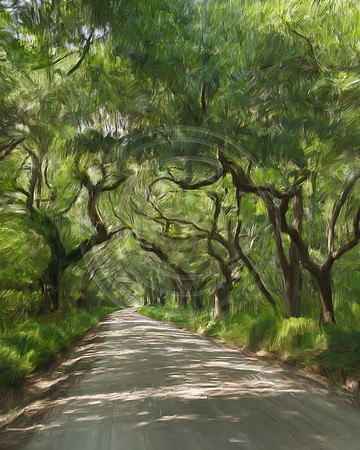 Charleston_Path2689_P