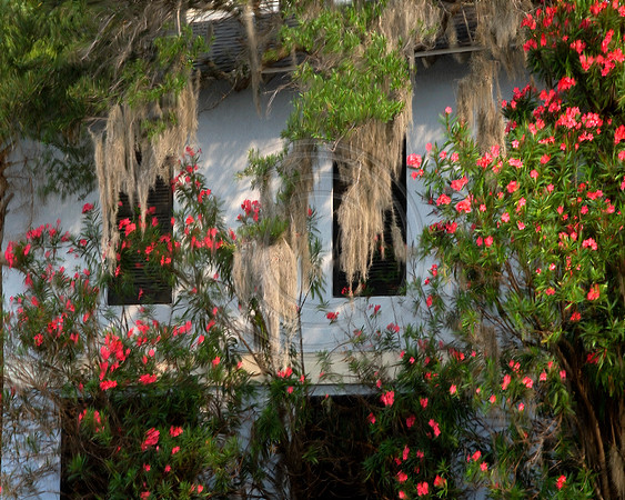 Charleston_Shem665_P