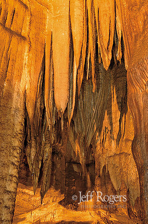 Mammoth_Niagara8851