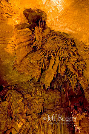 Mammoth_Niagra8843r