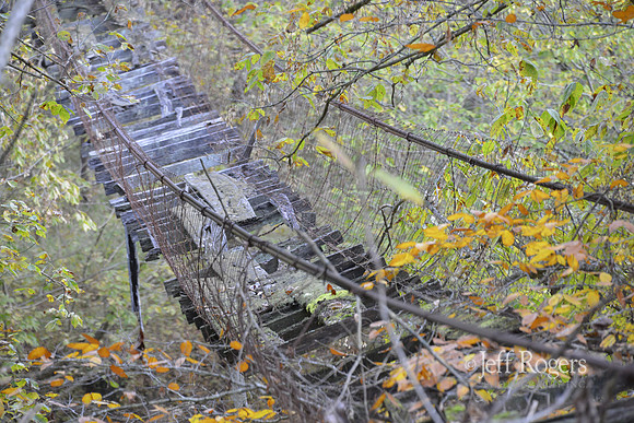 SwingingBridge4804