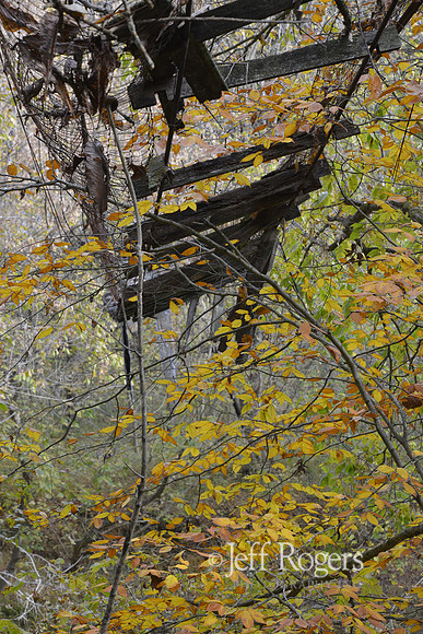 SwingingBridge4822