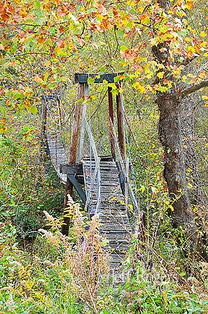 SwingingBridge8972
