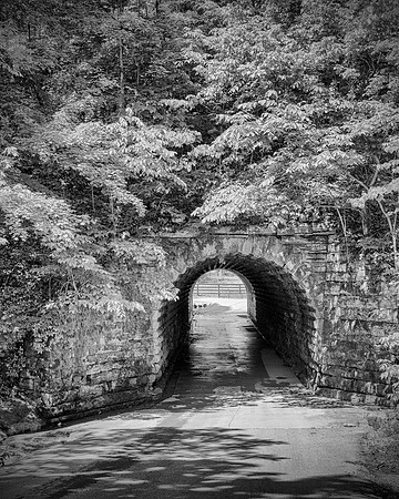 RailroadBridge1077_8x10