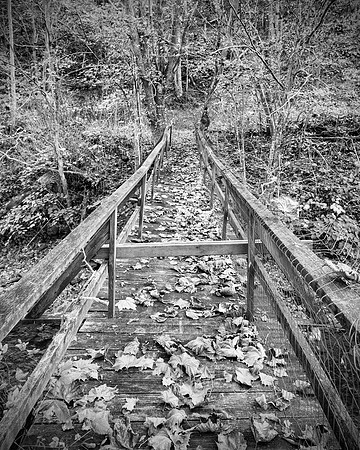 Fall_E_KY-2922_8x10bw