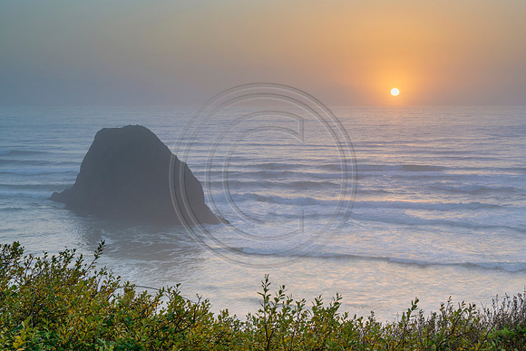 Oregon-4491