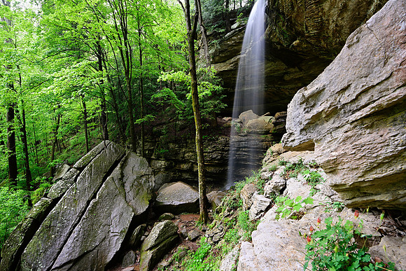 Anglin Falls Spring