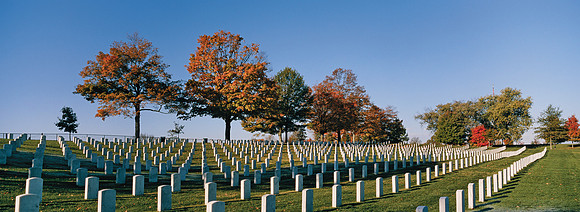 CampNelson copy