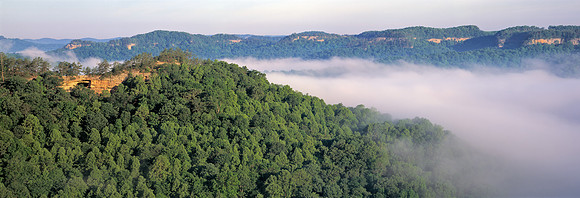 Gorge_dblarchFog