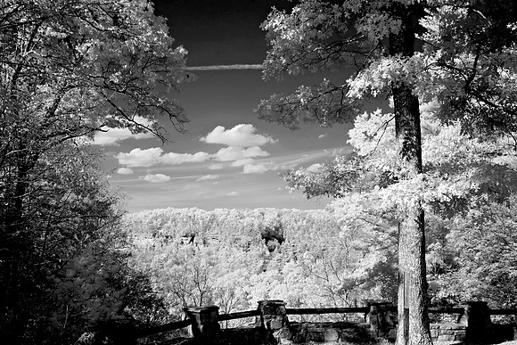 _JRP9922_Radiant
