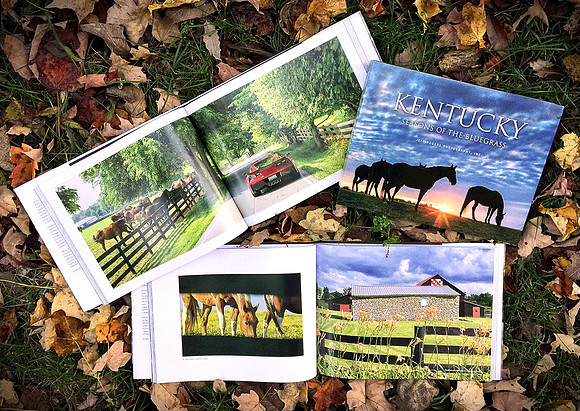 SeasonsBG_book4x6