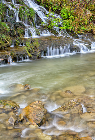 KY-Stream_Lynch6971