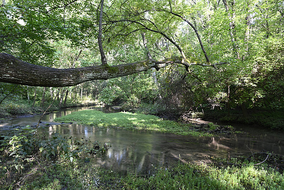 McConnell Springs3452