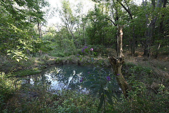 McConnell Springs3440