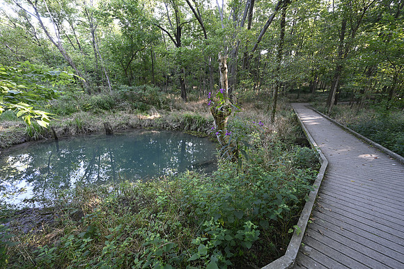 McConnell Springs3434