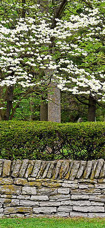 _JRP2939_Radiant_crop
