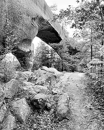 Untitled_Panorama1_w_Radiant