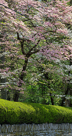 GFXS4103_Radiant_crop