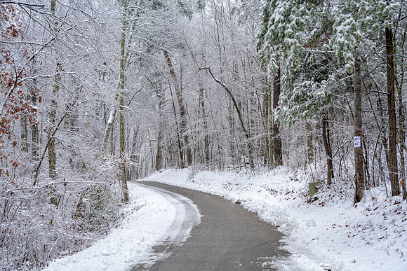 KY_Snow-6076
