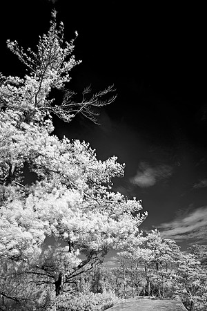_JRP9941_Radiant
