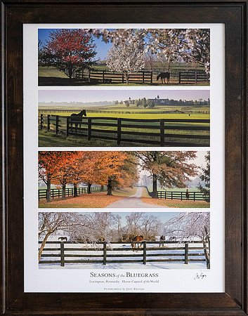 KY_Seasons_Bluegrass