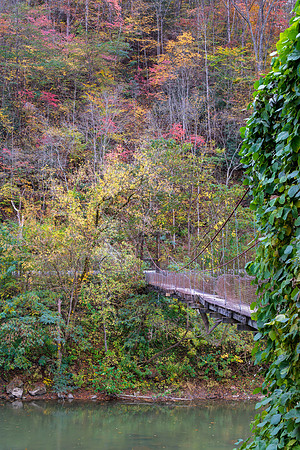 Fall_E_KY-2460