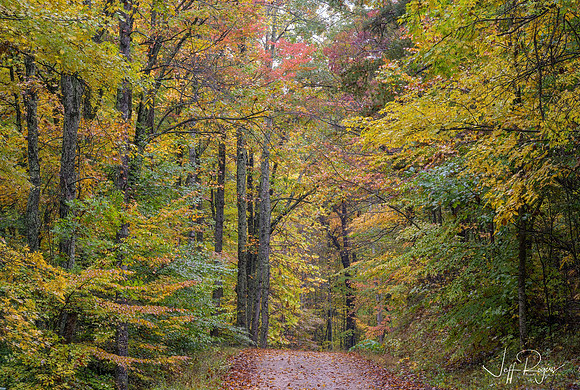 KY-Fall_Road6753