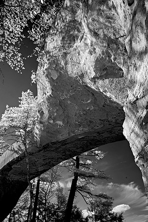 _JRP9963_Radiant
