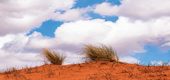 Streams in Desert_print-14