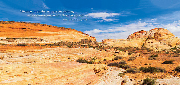 Streams in Desert_print-16