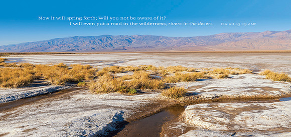 Streams in Desert_print-24