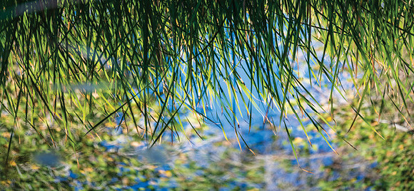 Streams in Desert_print-31