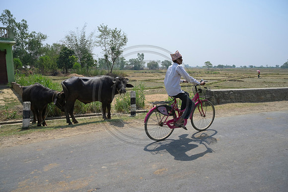 Nepal-0766