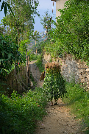 Nepal-2298