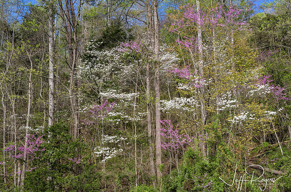 KY-Spring8184