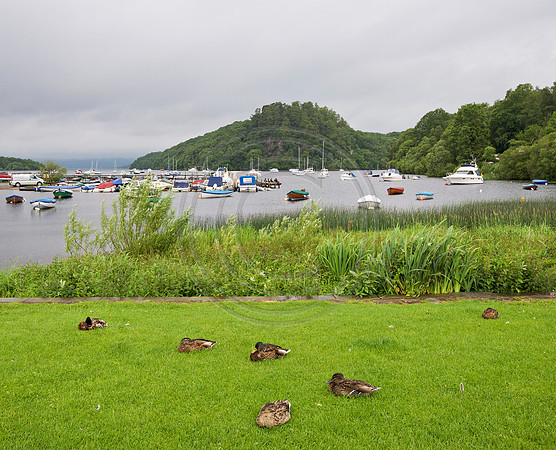 Scotland0762w