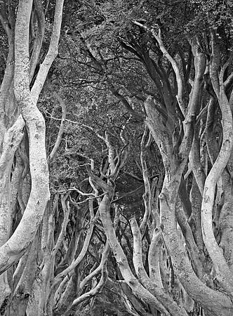 JRP_5347bw