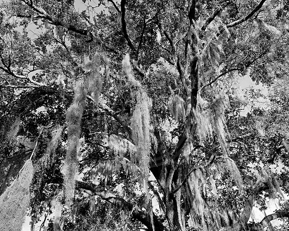GFXS3957bw